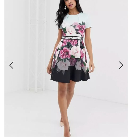 Ted Baker Wilmana magnificent floral skater dress size 2 nwot - Picture 4 of 11